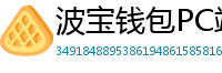 波宝钱包PC端下载